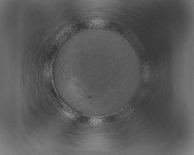 X0000076340701200610201731