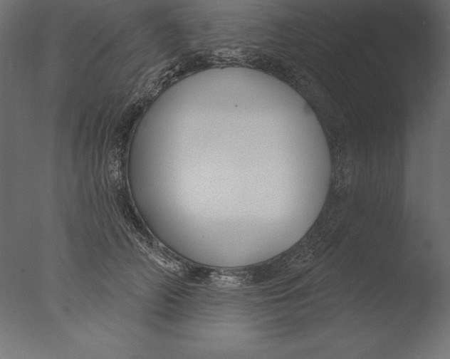 X0000076340706200610201731