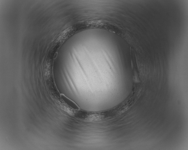 X0000076340708200610201731