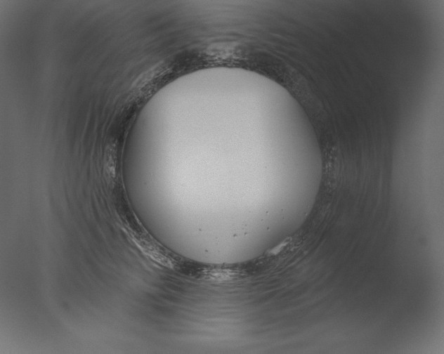 X0000076340710200610201731