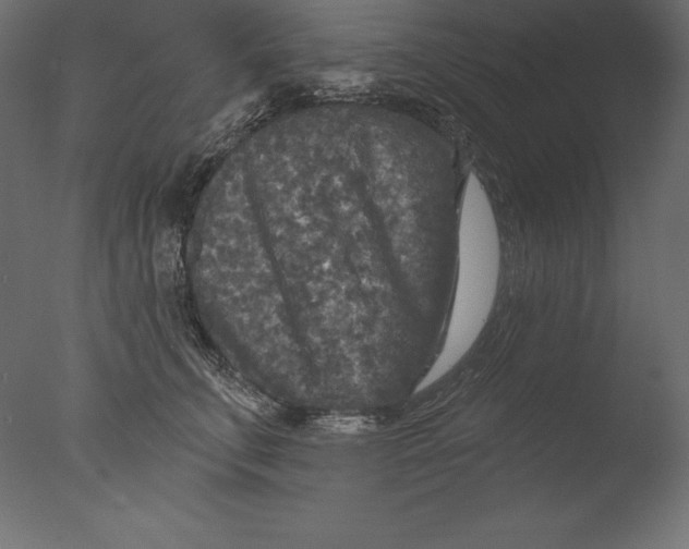 X0000076340711200610201731