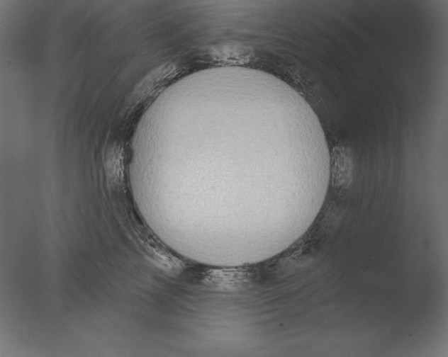 X0000076340713200610201731