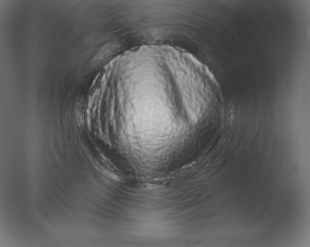 X0000076340719200610201731