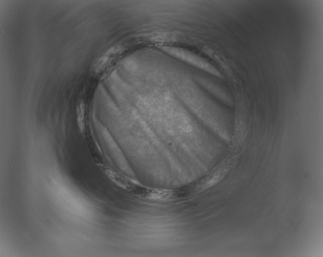 X0000076340720200610201731