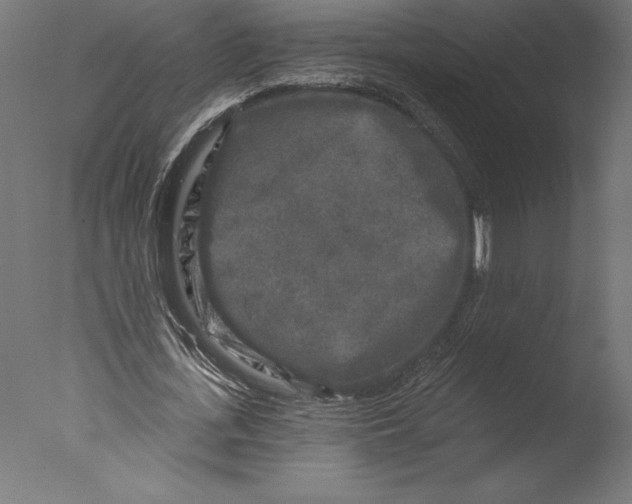 X0000076340723200610201730