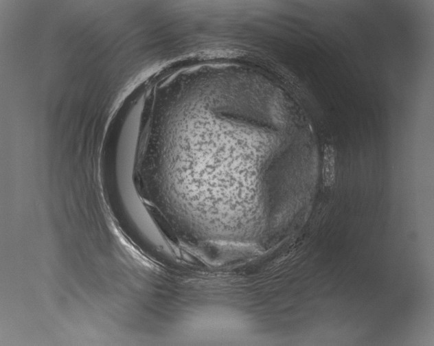 X0000076340726200610201730