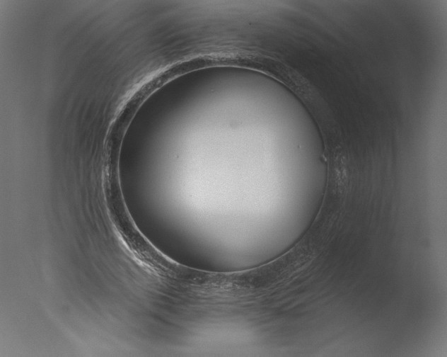X0000076340728200610201730