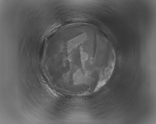 X0000076340729200610201730