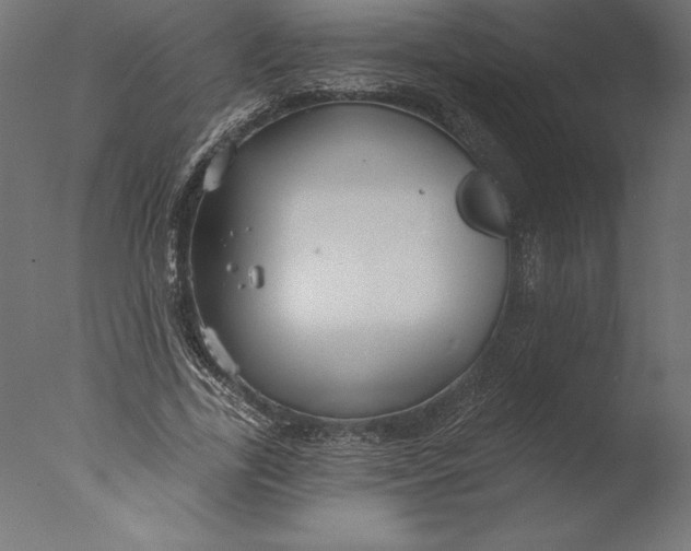 X0000076340731200610201730