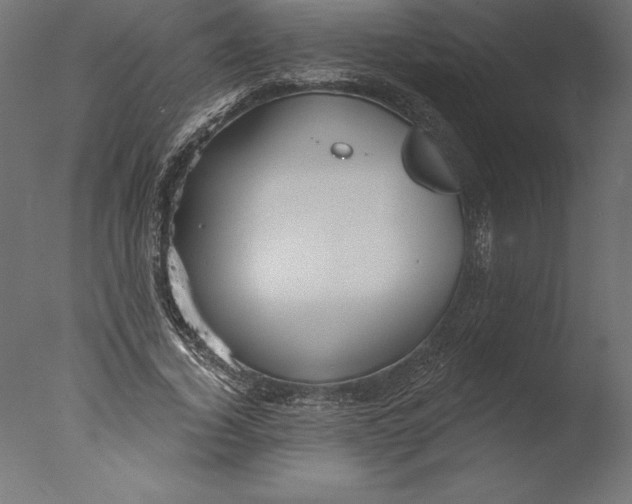 X0000076340732200610201730