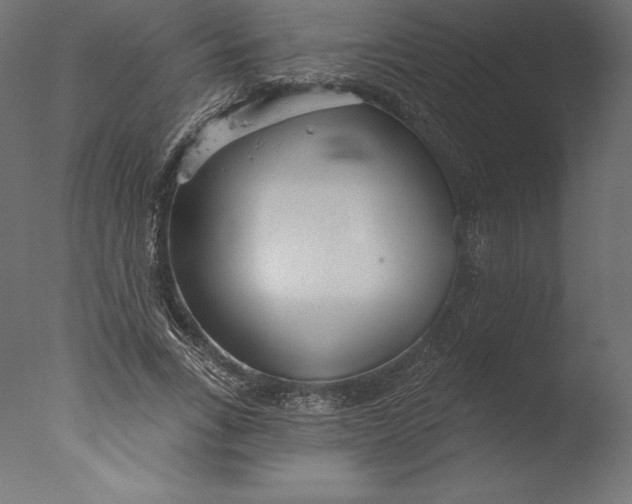 X0000076340735200610201730