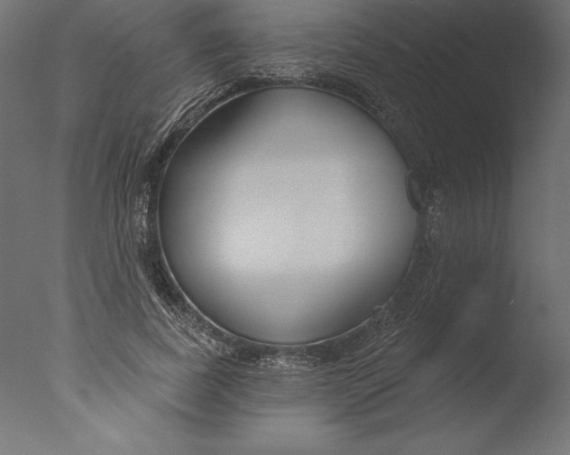 X0000076340739200610201730