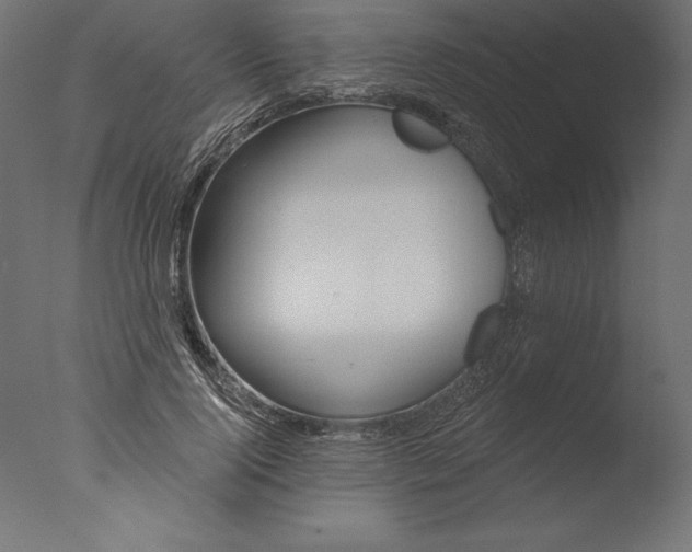 X0000076340740200610201730