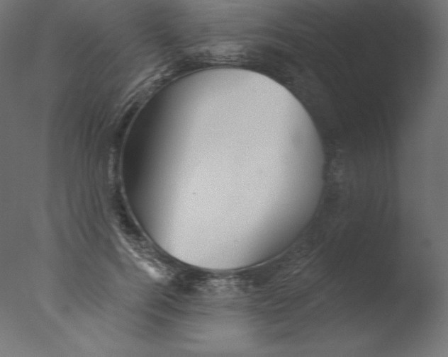 X0000076340744200610201730