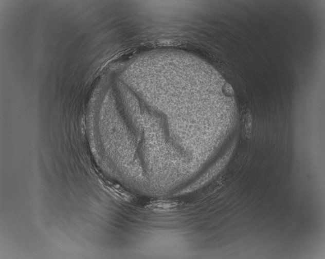 X0000076340746200610201730