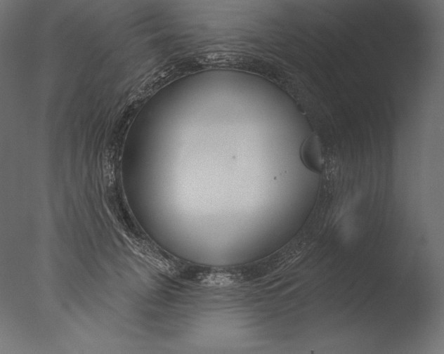 X0000076340751200610201730