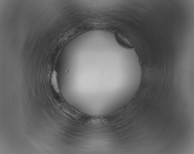 X0000076340752200610201730
