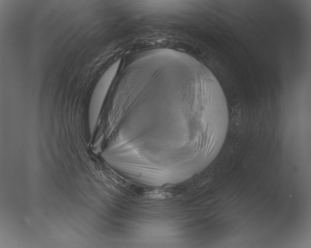 X0000076340754200610201730