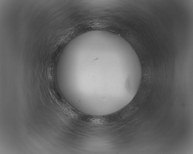X0000076340755200610201730