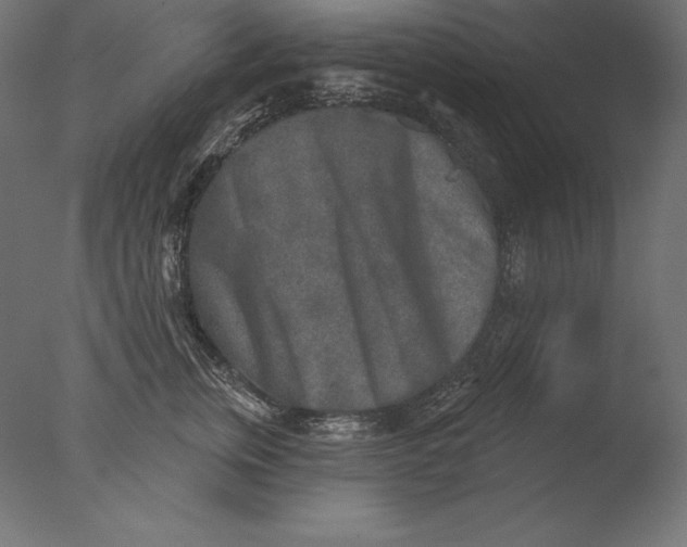 X0000076340759200610201730