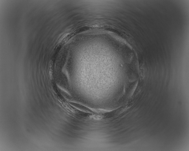 X0000076340762200610201730