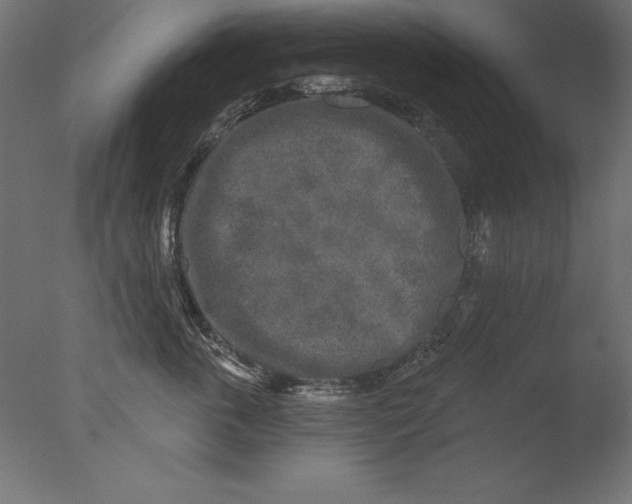 X0000076340763200610201730