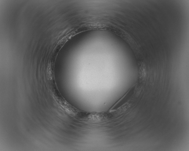 X0000076340764200610201730
