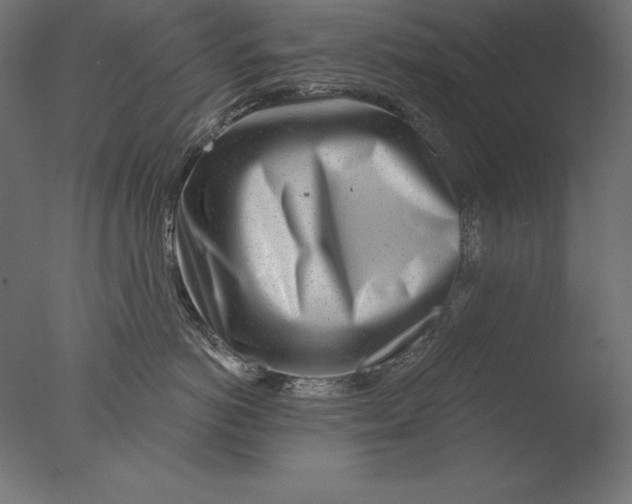 X0000076340766200610201731