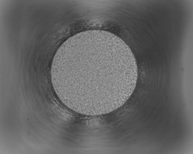 X0000076340769200610201730