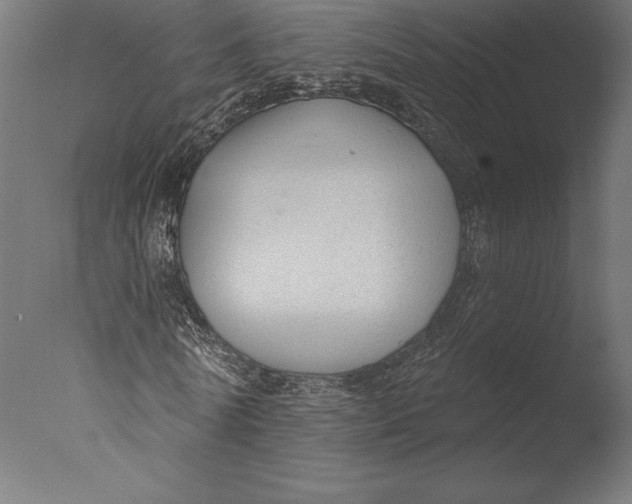 X0000076340770200610201730