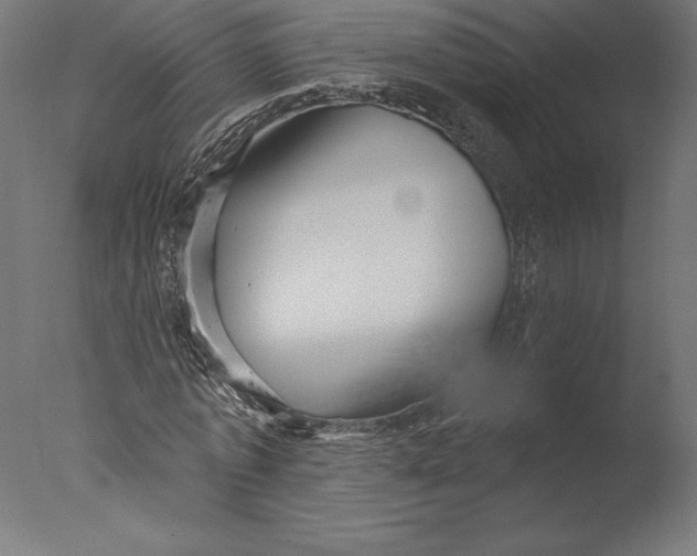 X0000076340773200610201730