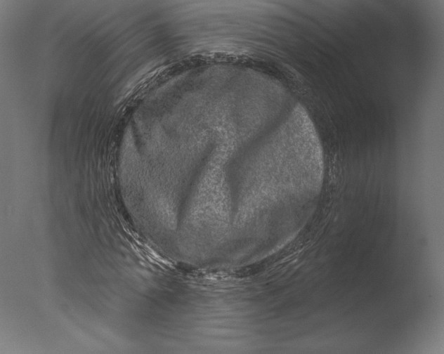 X0000076340774200610201730