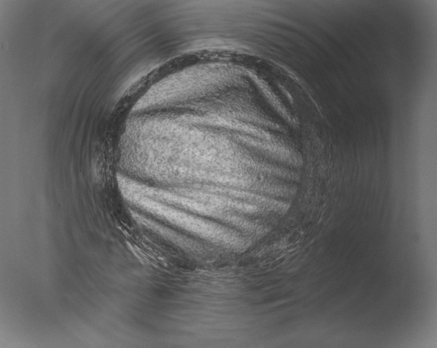 X0000076340775200610201730