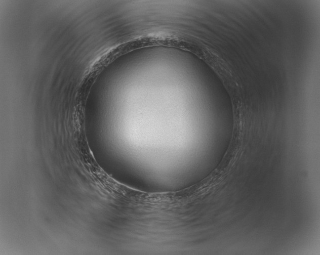 X0000076340776200610201730