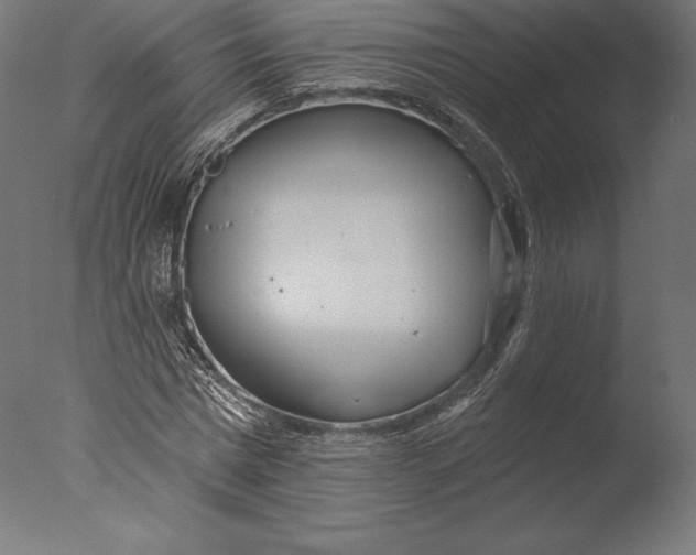 X0000076340777200610201730