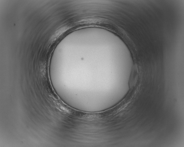 X0000076340778200610201730