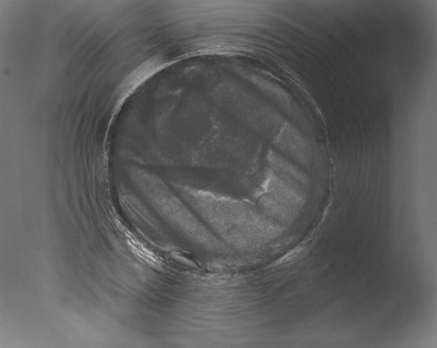 X0000076340779200610201730