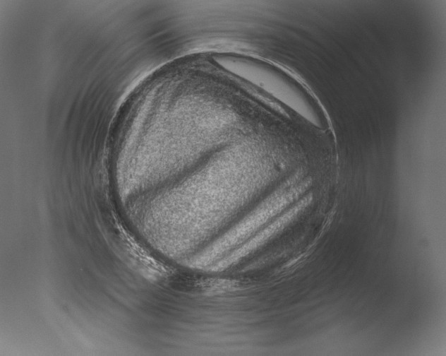 X0000076340783200610201730