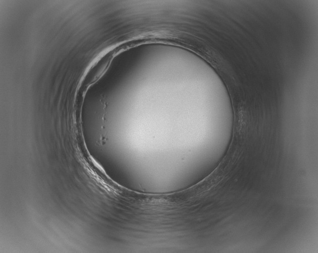 X0000076340784200610201729