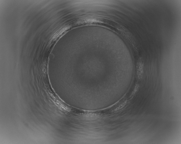 X0000076340785200610201729