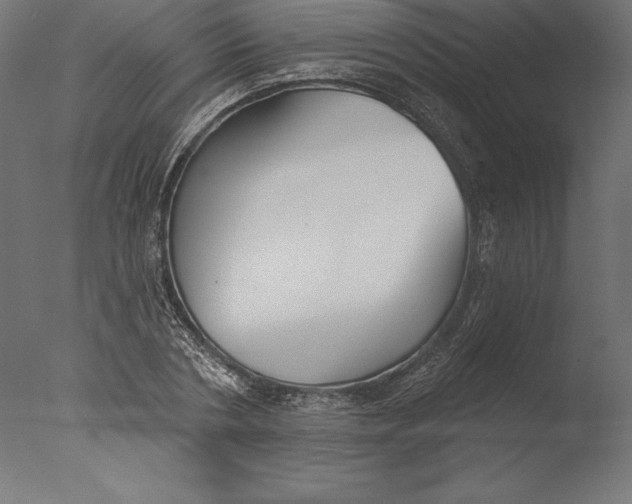 X0000076340786200610201729
