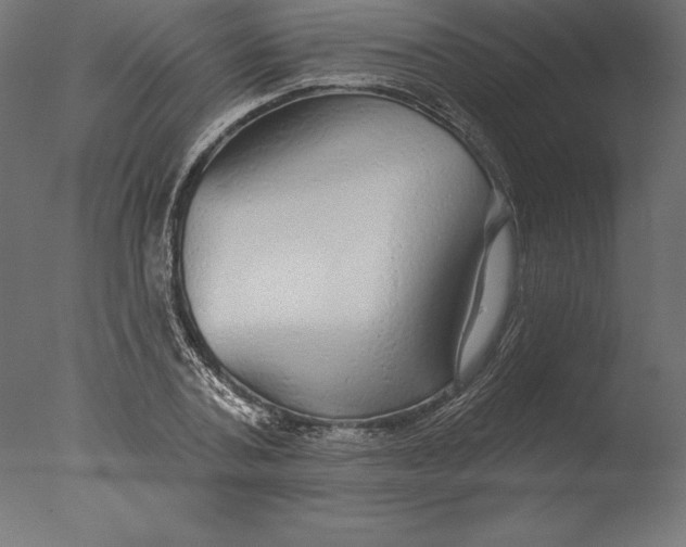 X0000076340787200610201729