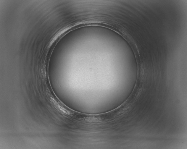 X0000076340789200610201729