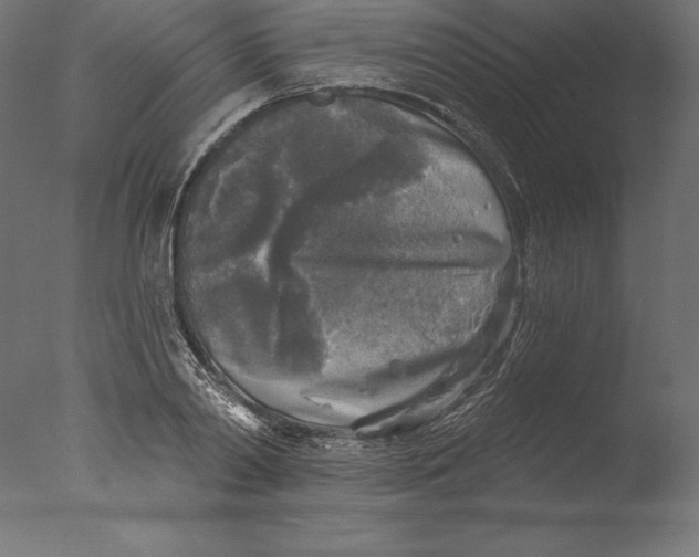 X0000076340790200610201729
