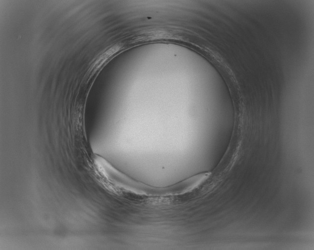 X0000076340793200610201729