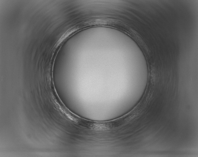 X0000076340794200610201729