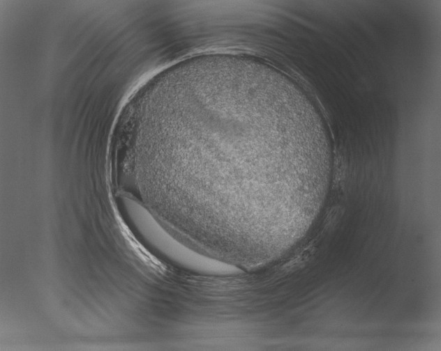 X0000076340795200610201729