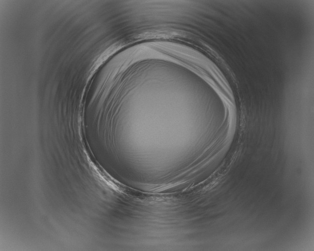 X0000076340802200610201729