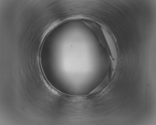 X0000076340813200610201729