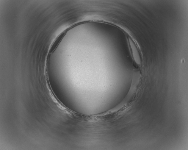 X0000076340815200610201729